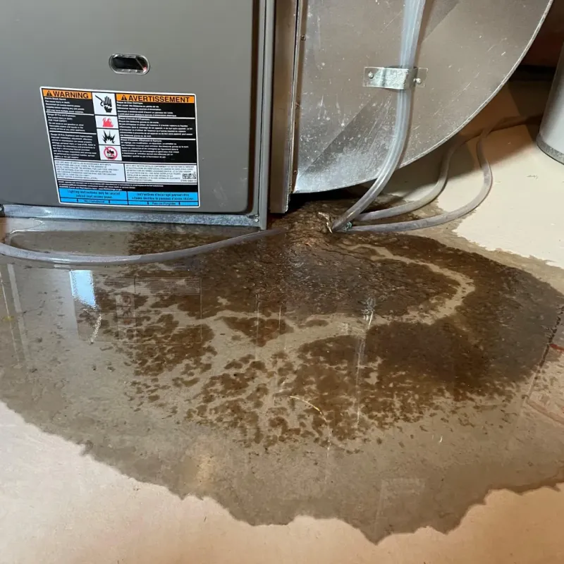 Appliance Leak Cleanup in Brooksville, KY