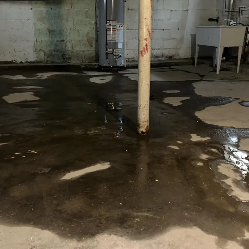 Emergency Water Extraction And Removal in Brooksville, KY
